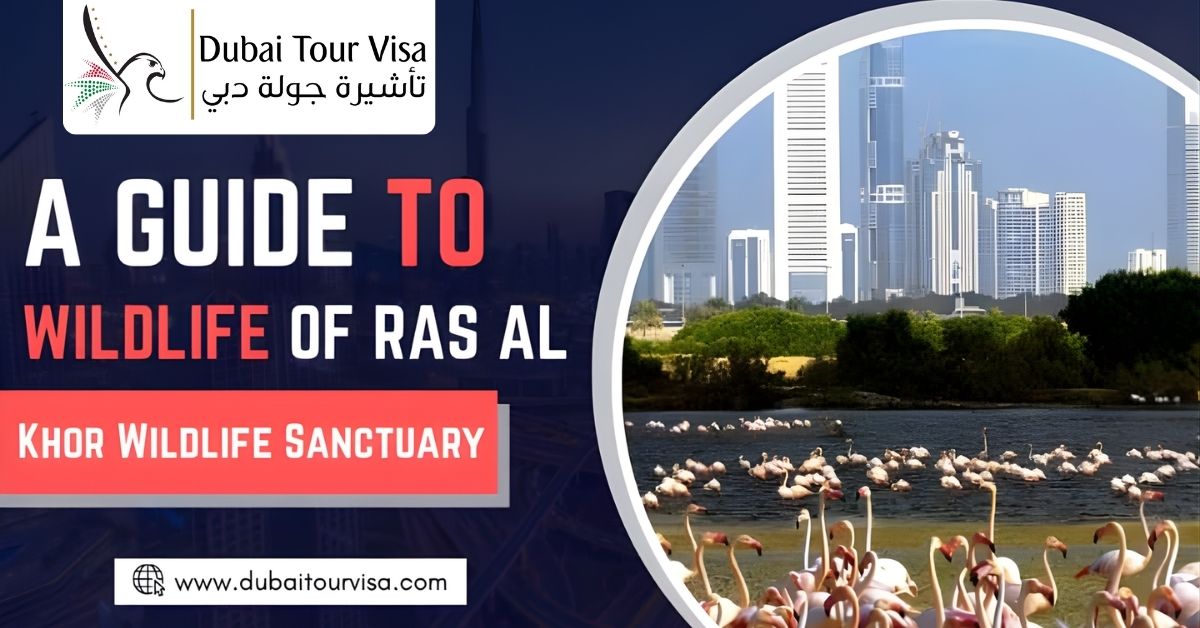 A Guide to the Wildlife of Ras Al Khor Wildlife Sanctuary  